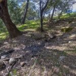 Photo 31 for Volcano Gold Acres