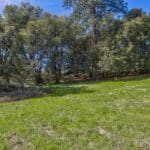 Photo 32 for Volcano Gold Acres