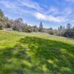 Photo 34 for Volcano Gold Acres