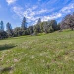 Photo 36 for Volcano Gold Acres