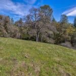 Photo 30 for Volcano Gold Acres