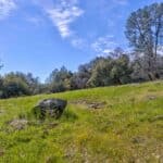 Photo 28 for Volcano Gold Acres