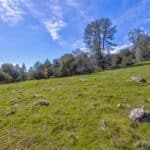 Photo 27 for Volcano Gold Acres