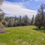 Photo 24 for Volcano Gold Acres