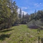 Photo 20 for Volcano Gold Acres