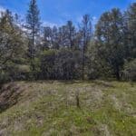 Photo 21 for Volcano Gold Acres