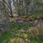 Photo 19 for Volcano Gold Acres