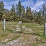 Photo 3 for Volcano Gold Acres