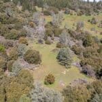 Photo 15 for Volcano Gold Acres