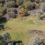 Photo 7 for Volcano Gold Acres