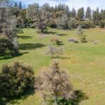 Photo 1 for Volcano Gold Acres