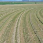 Photo 10 for Carroll Pivot Ranch