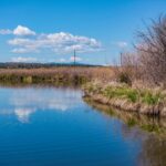 Photo 5 for Pit River Land & Cattle - Duck Club