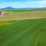 Photo 2 for Carroll Pivot Ranch