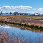 Photo 10 for Pit River Land & Cattle - Duck Club