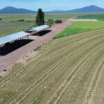 Photo 3 for Carroll Pivot Ranch