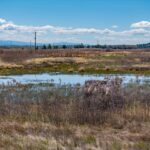 Photo 100 for Pit River Land & Cattle - Duck Club