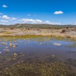 Photo 103 for Pit River Land & Cattle - Duck Club