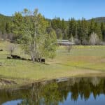 Photo 43 for Triple D Ranch