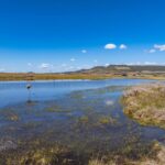 Photo 104 for Pit River Land & Cattle - Duck Club