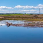 Photo 105 for Pit River Land & Cattle - Duck Club