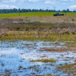 Photo 106 for Pit River Land & Cattle - Duck Club