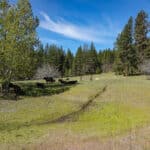 Photo 46 for Triple D Ranch