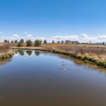 Photo 78 for Pit River Land & Cattle - Duck Club