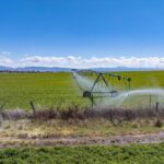 Photo 89 for Pit River Land & Cattle - Duck Club