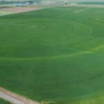 Photo 6 for Carroll Pivot Ranch