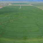 Photo 7 for Carroll Pivot Ranch
