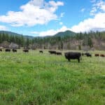 Photo 4 for Triple D Ranch