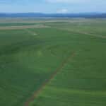 Photo 8 for Carroll Pivot Ranch