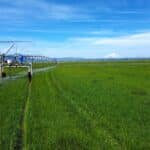 Photo 9 for Carroll Pivot Ranch