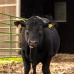 Photo 44 for RIR Ranch
