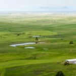Photo 69 for RIR Ranch
