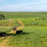Photo 65 for RIR Ranch