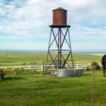 Photo 13 for RIR Ranch