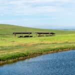 Photo 5 for RIR Ranch