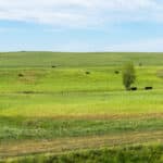 Photo 80 for RIR Ranch