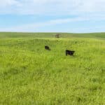 Photo 81 for RIR Ranch