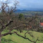 Photo 9 for Knob Hill Place