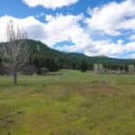 Photo 49 for Triple D Ranch