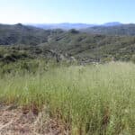 Photo 24 for Rock Ridge Ranch