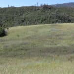 Photo 20 for Rock Ridge Ranch