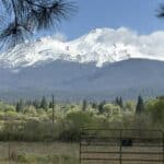 Photo 9 for Mt. Shasta 35 Acres