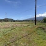 Photo 12 for Mt. Shasta 35 Acres