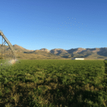 Photo 2 for Northfork Ranch