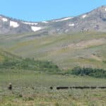 Photo 5 for Northfork Ranch