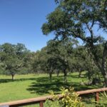 Photo 33 for RIR Ranch